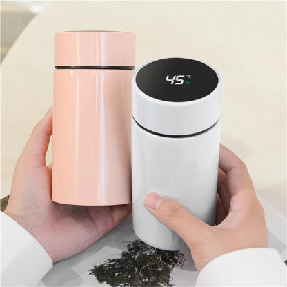 Smart Thermos Water Bottle Intelligent Temperature Display Stainless Steel Vacuum Flasks Thermoses with Filter Tee Cup(D)
