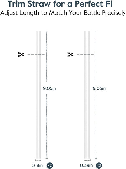 WATERH Vita Smart Water Bottle with Reminder to Drink Water, BPA-Free Vacuum Insulated Water Bottles with Straw, Bluetooth Intake Water Tracking Bottle, Ideal for Gift (18 oz)