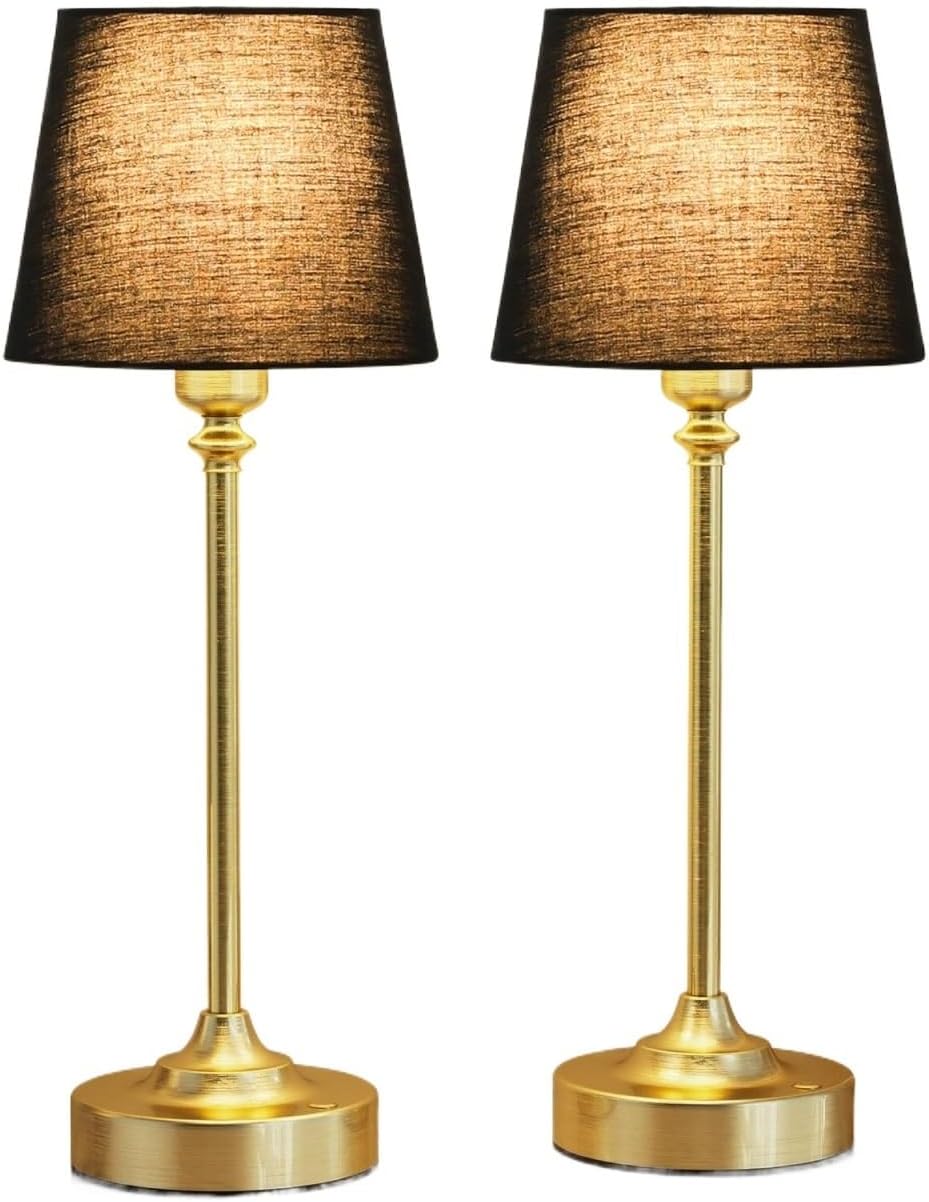 15.8-inch Wireless Charging Touch Table Lamp 2-Pack, Battery Powered, Stepless Dimming, for Dining Table, Living Room Suitable for bedrooms, Living Rooms, Offices, Book(White - Black)