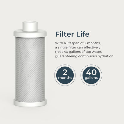 Vita Smart Water Bottle Black with Filter & Straw + PureSip Filter Water 1 Pack Bundle