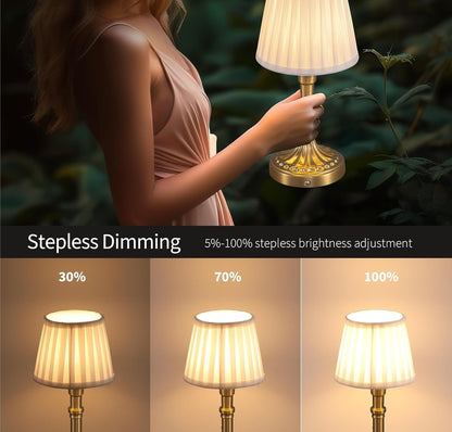 Cordless Portable LED Table Lamp 2-pack, Fabric Shade, Battery Power, Stepless Dimming, For Living And Dining Rooms suitable for bedrooms, living rooms, offices, book(Mottled Silver+Fabric Lampshde)