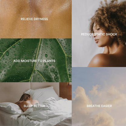 Homedics Cool Mist Ultrasonic Humidifier, 8-Colors Night Light, 0.66 Gal Top-Fill Tank, 24Hr Runtime, 3 Mist Settings, 360° Mist for 329 sq ft Rooms, Aromatherapy, Clean Tank Tech, Auto Shutoff